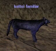 Picture of Keltoi Familiar